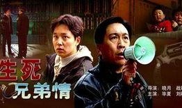 生死兄弟情在线观看,生死相依，共度风雨