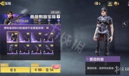 蔷薇刺客爆料视频下载手机版,揭秘手机版神秘功能