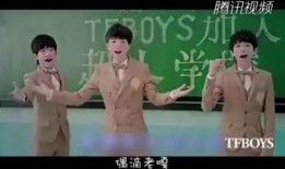 乡5全集在线观看,探寻乡村变迁，共鉴岁月流转