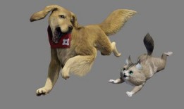 兽境猎犬爆料视频大全最新,揭秘神秘猎犬家族的传奇故事