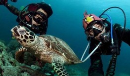 潜水员爆料探险中国视频,潜水员揭秘中国海底奇观