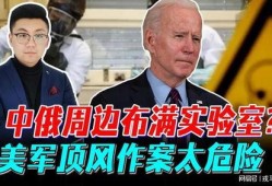 俄国爆料美国实验视频大全,俄国爆料视频大全深度解析