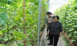 免费在线吃瓜网,免费在线吃瓜网的魅力与争议