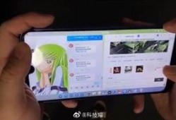 坚果加工爆料怎么做视频,视频带你探秘坚果加工全过程