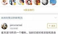 今日娱乐爆料微博,揭秘明星幕后故事，独家揭秘微博热搜背后的真相！”