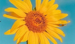 早安最新爆料图片高清