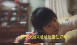 强妈被人爆料视频,揭秘背后真相与争议