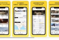 演员爆料苹果视频,揭秘娱乐圈的“苹果效应”