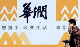 董爆料最新消息,独家内幕曝光，事件真相令人震惊！