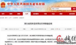 湖北黄石新闻爆料,突发事件引发关注，详情即将揭晓