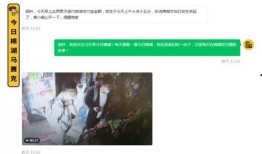 爆料男人视频网站,揭秘背后爆火内容与现象