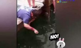 眼镜哥爆料山炮视频