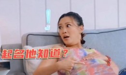 明星爆料二孩视频大全