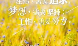 早安最新爆料图片高清