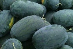 湖北网红吃瓜事件真相,揭秘背后真相与争议