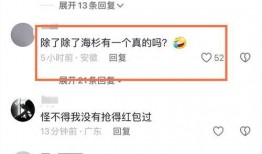 爆料东子视频,独家爆料背后的真相与内幕
