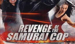 武士警官2在线观看