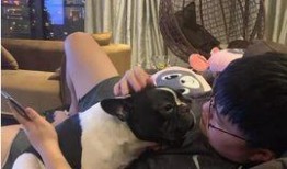 二狗子邻居爆料视频,邻里纠纷背后的惊人真相