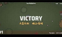 幸存者爆料缅甸视频,幸存者亲述惊心动魄的生存历程