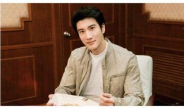 李靓蕾爆料王力宏视频,真相与争议交织