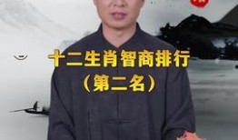 娱乐718吃瓜王大锤,大锤吃瓜，揭秘娱乐圈幕后风云
