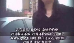 日本老赖爆料视频大全,视频大全背后的惊人事实