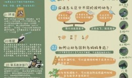 广州市新闻爆料平台下载,广州市新闻爆料平台最新动态汇总