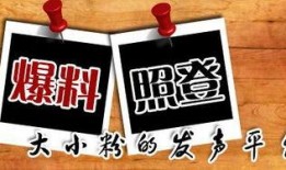 重庆最新爆料事件新闻,神秘事件引发社会关注