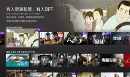 大片视频在线观看,大片视频在线观看盛宴