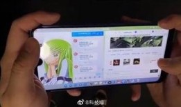 坚果加工爆料怎么做视频,视频带你探秘坚果加工全过程