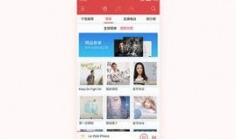 在线观看的网站2016,2016年在线观看网站发展概览