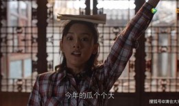 娱乐圈吃瓜说的是什么,揭秘明星背后的故事与真相