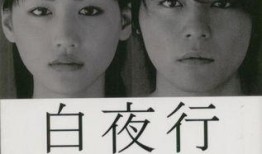 白夜行日剧在线观看,探寻黑暗中的光明救赎之旅