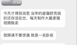 杰克辣条被人爆料视频,揭秘网络红人背后的真相