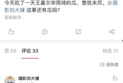 刘大锤爆料小结视频,视频爆料内容精华汇总