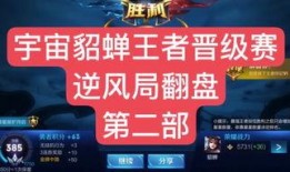 阿宝王者爆料视频下载大全