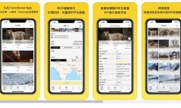演员爆料苹果视频,揭秘娱乐圈的“苹果效应”