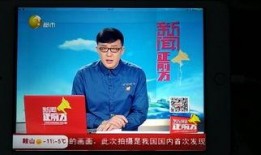 新闻正前方爆料热线,揭秘最新热点事件