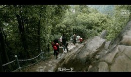 忠哥爆料仙盖山视频大全,仙盖山视频大全背后的神秘世界