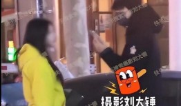 刘大锤爆料小结视频,视频爆料内容精华汇总