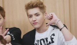 娱乐圈吃瓜爆料范世琦,揭秘明星背后的真实故事