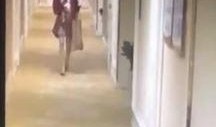 明星爆料酒店视频大全播放,明星酒店私密视频大曝光，真相令人震惊！