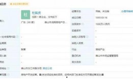 今日佛山爆料消息查询结果,揭秘城市热点事件背后的真相