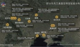 俄国爆料美国实验视频大全,俄国爆料视频大全深度解析