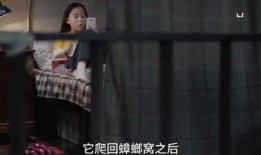 铁锤姐姐视频爆料大全最新,揭秘娱乐圈不为人知的秘密