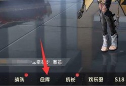 荒野新皮肤爆料视频下载,视觉盛宴，探索未知荒野之美