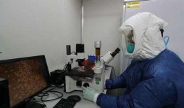 摩德纳病毒爆料视频,真相与争议并存