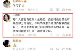 张艺兴翻车爆料视频,真相与争议全解析