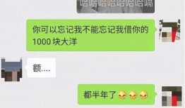 日本老赖爆料视频大全,视频大全背后的惊人事实