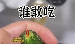 最新爆料的瓜,神秘事件真相大揭秘！
